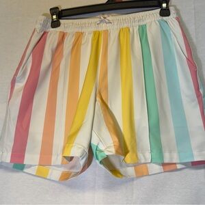 Chubbies Abstract Pastel Vertical Stripe Swim Shorts Trunks Men’s Small 5.5”